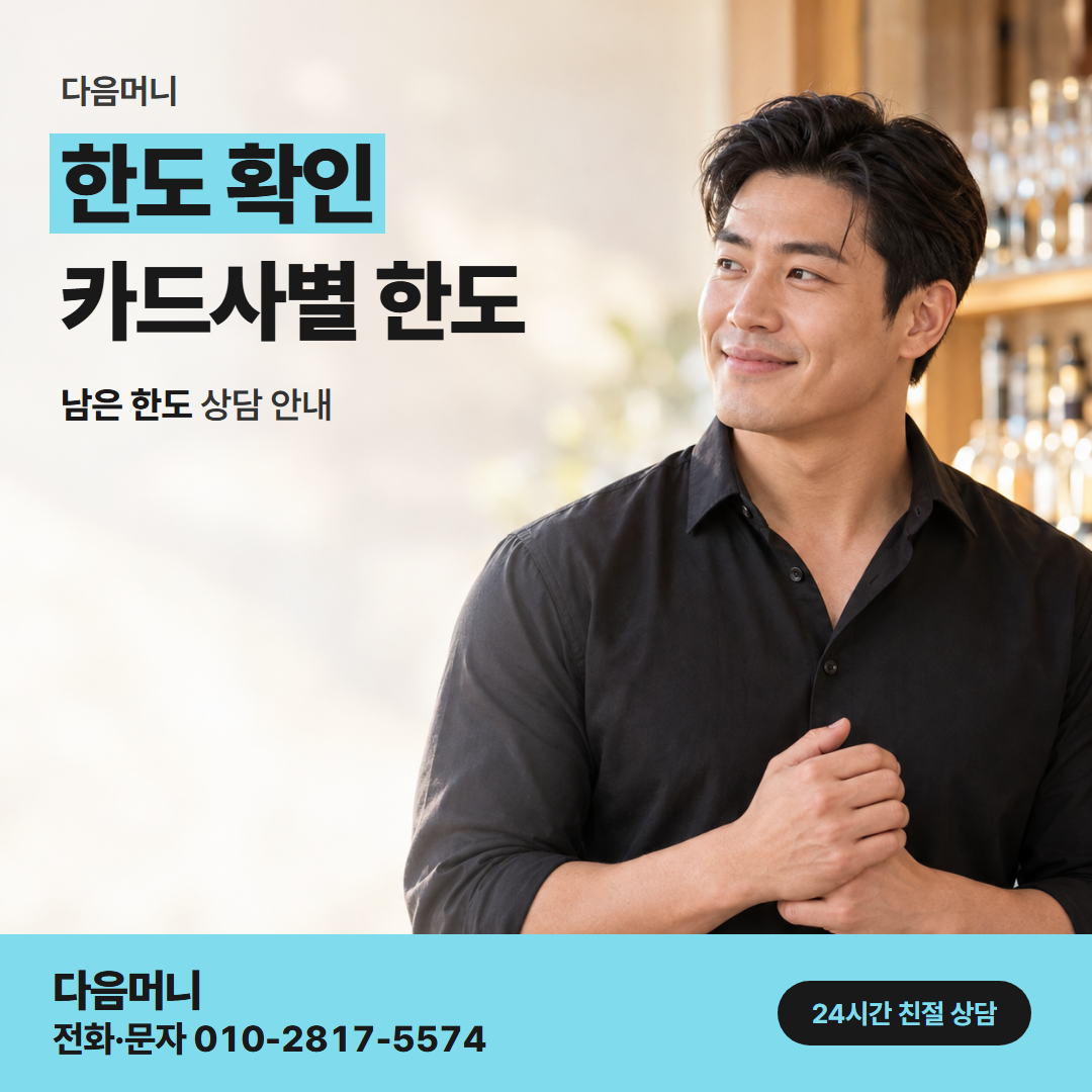 다음머니 용산카드깡 이용 실적과 따로 보는 남은 한도